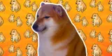 Cutout of a sitting Shiba Inu with a droopy, side-eyed expression on an orange background patterned with pixel-art shibas