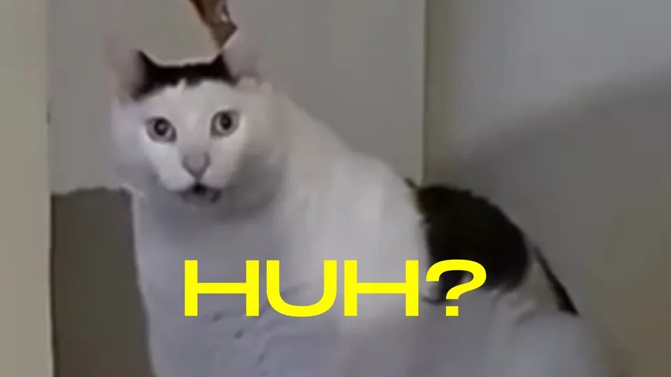 Blurry close-up of a white and black cat staring wide-eyed with its mouth open, yellow caption "HUH?"