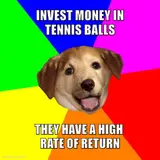 Golden retriever puppy's head on a rainbow colour wheel, captioned 'Invest money in tennis balls — they have a high rate of return'