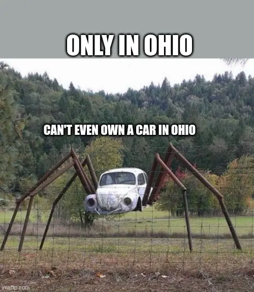 Surreal 'only in Ohio' cursed scene