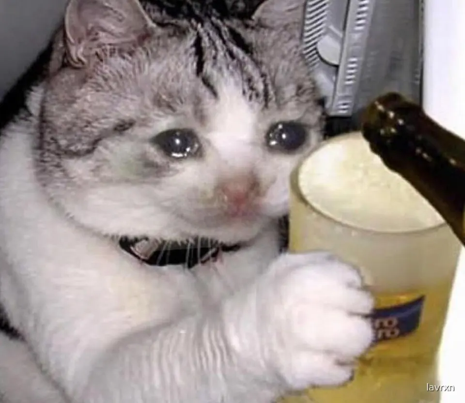 A cat with large photoshopped tears in its eyes