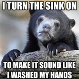 Bear resting its paws on a log, captioned "I turn the sink on to make it sound like I washed my hands"