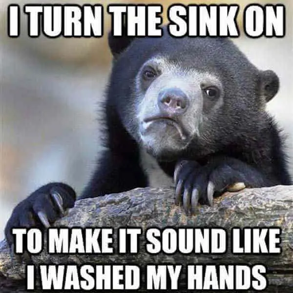Bear resting its paws on a log, captioned "I turn the sink on to make it sound like I washed my hands"