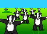 Rows of cartoon badgers standing in a green field under a blue sky, arms outstretched in a calisthenics pose