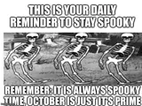 Three black-and-white cartoon skeletons dancing, captioned "THIS IS YOUR DAILY REMINDER TO STAY SPOOKY" above a spooky-time reminder