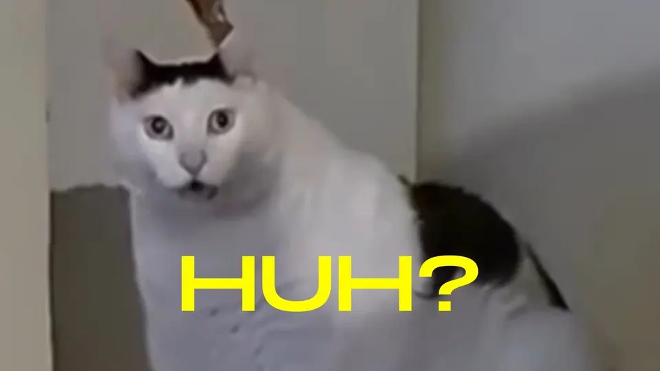 Huh Cat meme example