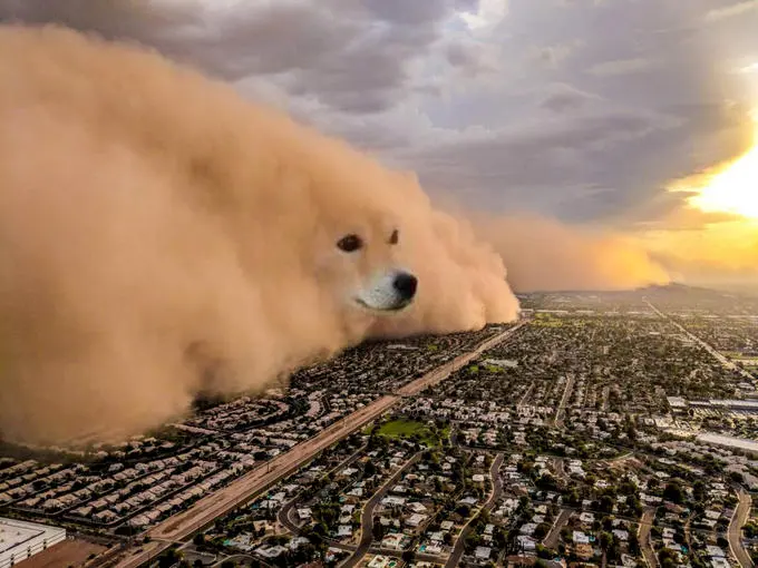 Aerial photo of a towering brown dust storm rolling over a suburb, with a dog's face composited into the cloud