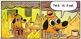 A cartoon dog sipping coffee in a room on fire, saying this is fine