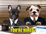 You're Hired meme