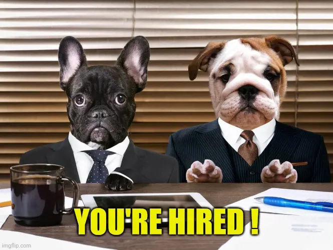 You're Hired meme