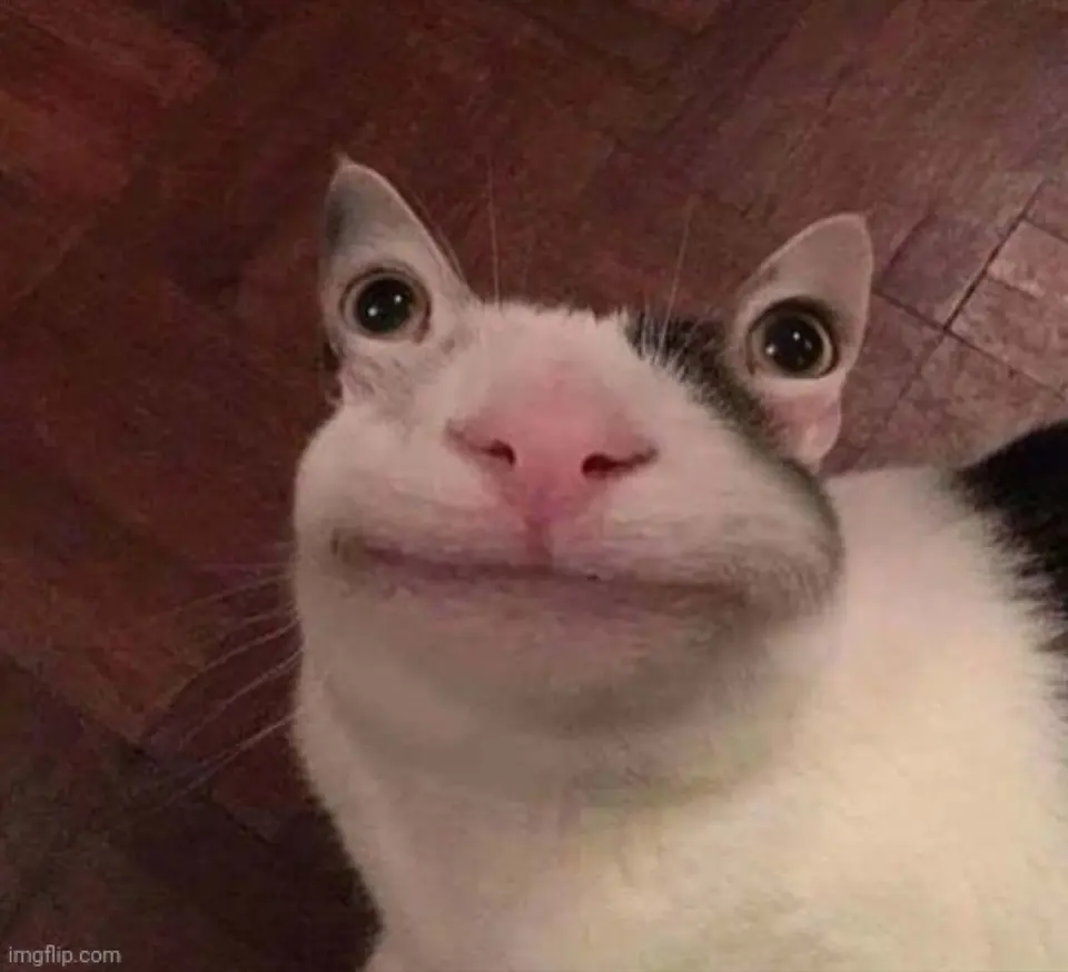 A distorted, unsettling photo of a white-and-black cat with an eerie human-like smile