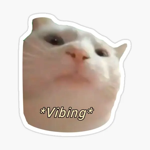 Vibing Cat meme example