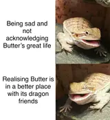Two-panel meme showing a tan bearded dragon with its mouth open, captioned "Being sad and not acknowledging Butter's great life"