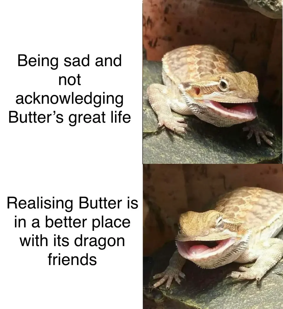 Two-panel meme showing a tan bearded dragon with its mouth open, captioned "Being sad and not acknowledging Butter's great life"