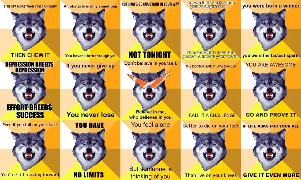 Grid of fifteen snarling wolf-head macros on orange and yellow backgrounds with aggressive motivational captions like "effort breeds success"