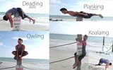 Beach collage of a young man posing on a post labelled "Deading", "Planking", "Owling", "Koalaing" and "Toweling"