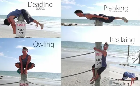 Beach collage of a young man posing on a post labelled "Deading", "Planking", "Owling", "Koalaing" and "Toweling"