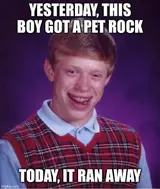Yearbook photo of a red-haired boy in a plaid sweater vest with braces, captioned "Yesterday, this boy got a pet rock"