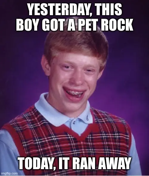 Yearbook photo of a red-haired boy in a plaid sweater vest with braces, captioned "Yesterday, this boy got a pet rock"