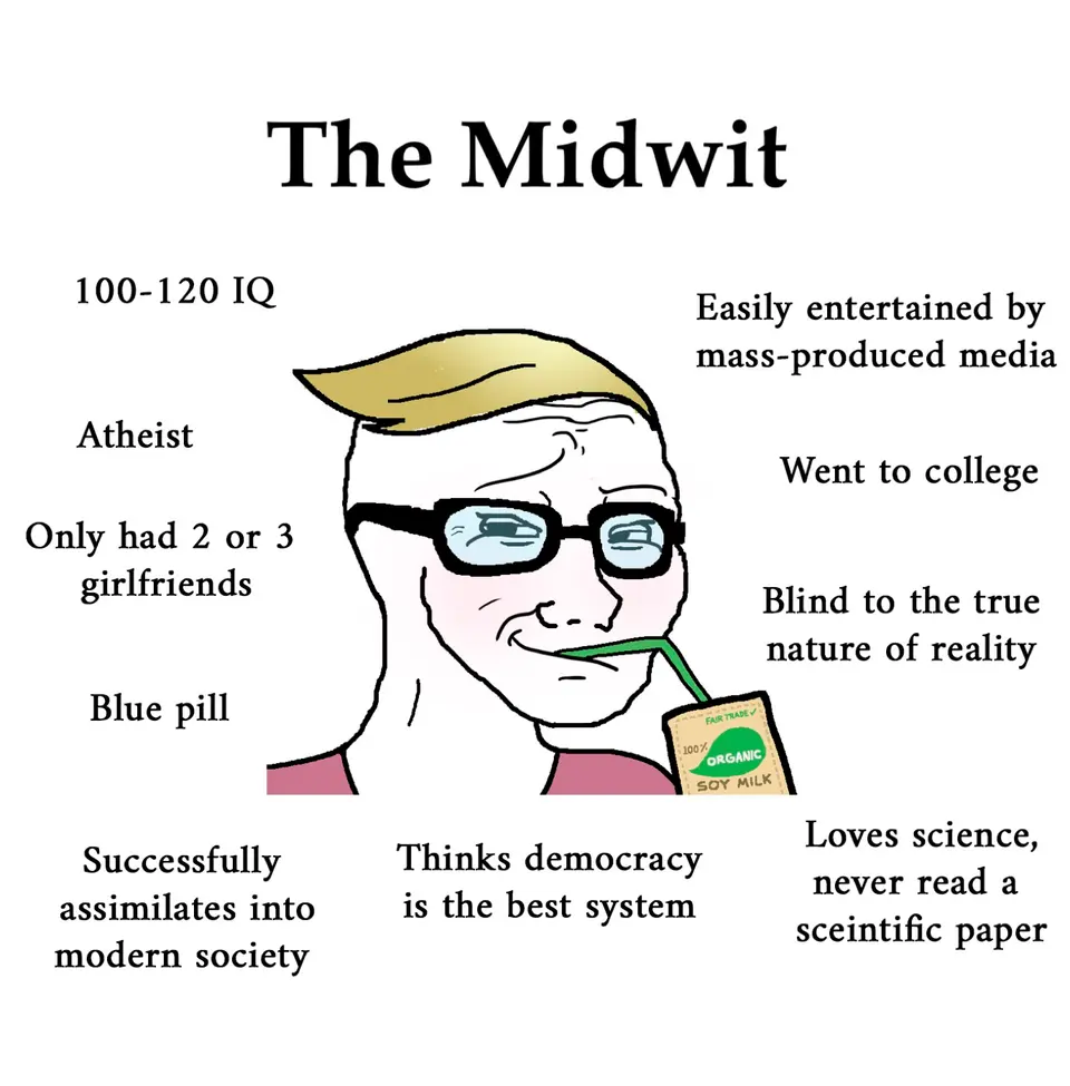 Midwit meme example