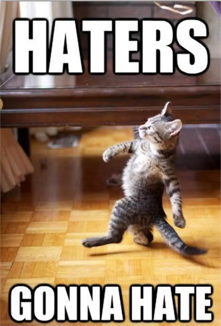 Tabby kitten strutting upright across a wooden floor with its head held high, captioned "HATERS GONNA HATE"