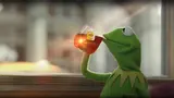 Green frog puppet sipping from a glass of tea with a Lipton tag, seated by a sunlit window