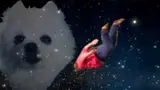 Person tumbling head-over-heels through a purple starfield beside a cut-out white fluffy dog's face