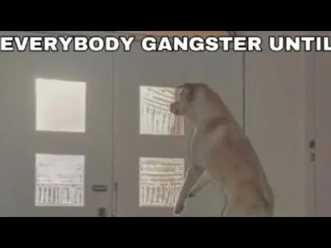 Tan dog standing upright on its hind legs at a door, with top caption "EVERYBODY GANGSTER UNTIL" cut off mid-line
