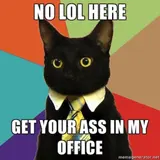 A black cat wearing a shirt and yellow necktie on a colorful advice-animal background