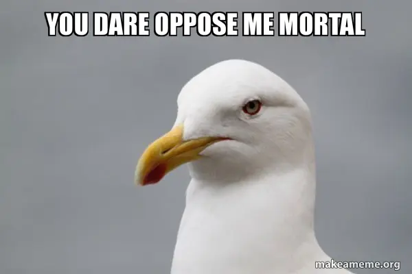 You Dare Oppose Me Mortal meme example