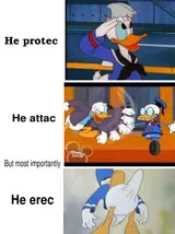 Three stacked Donald Duck cartoon panels labeled "He protec," "He attac," and "But most importantly, he erec"