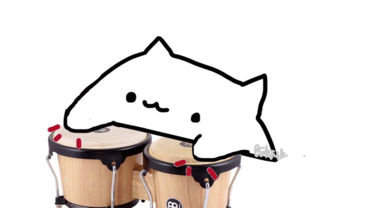 Bongo Cat meme