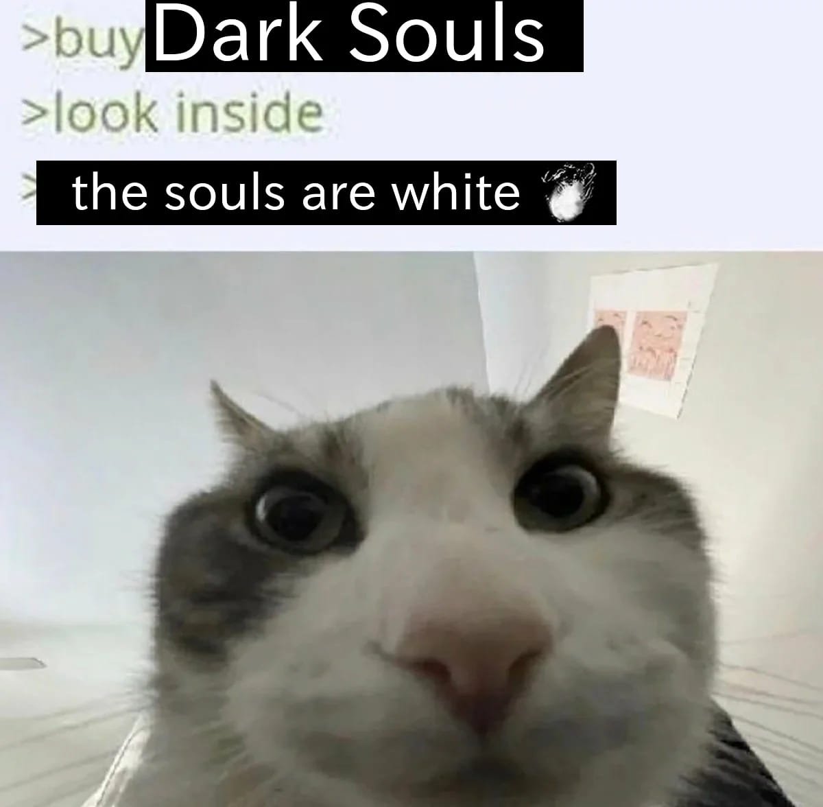 Cat Looks Inside meme example