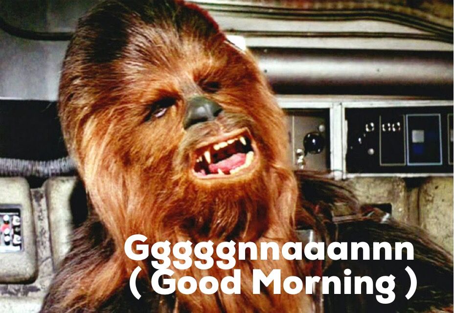 Chewbacca Mom meme