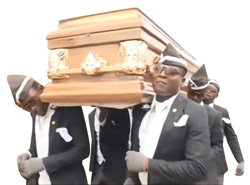Coffin Dance meme