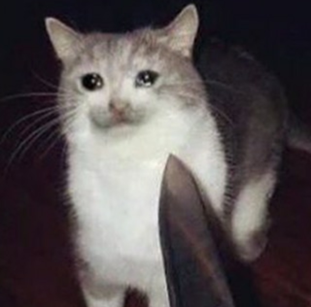 Crying Cat meme example
