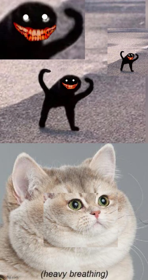 Cursed Cat meme