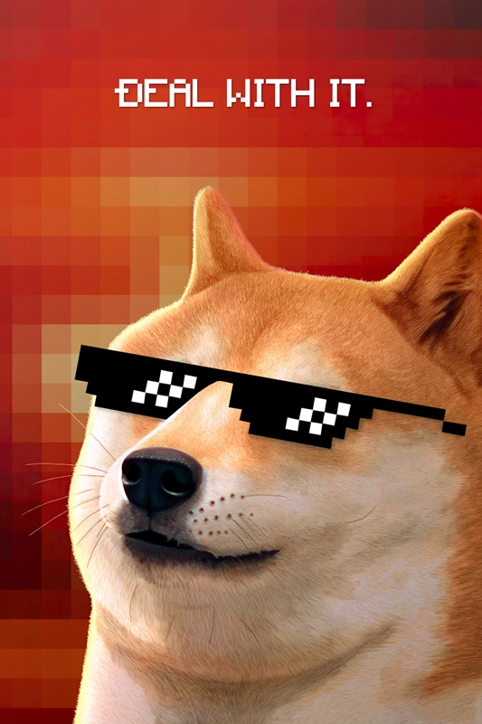 Deal With It meme