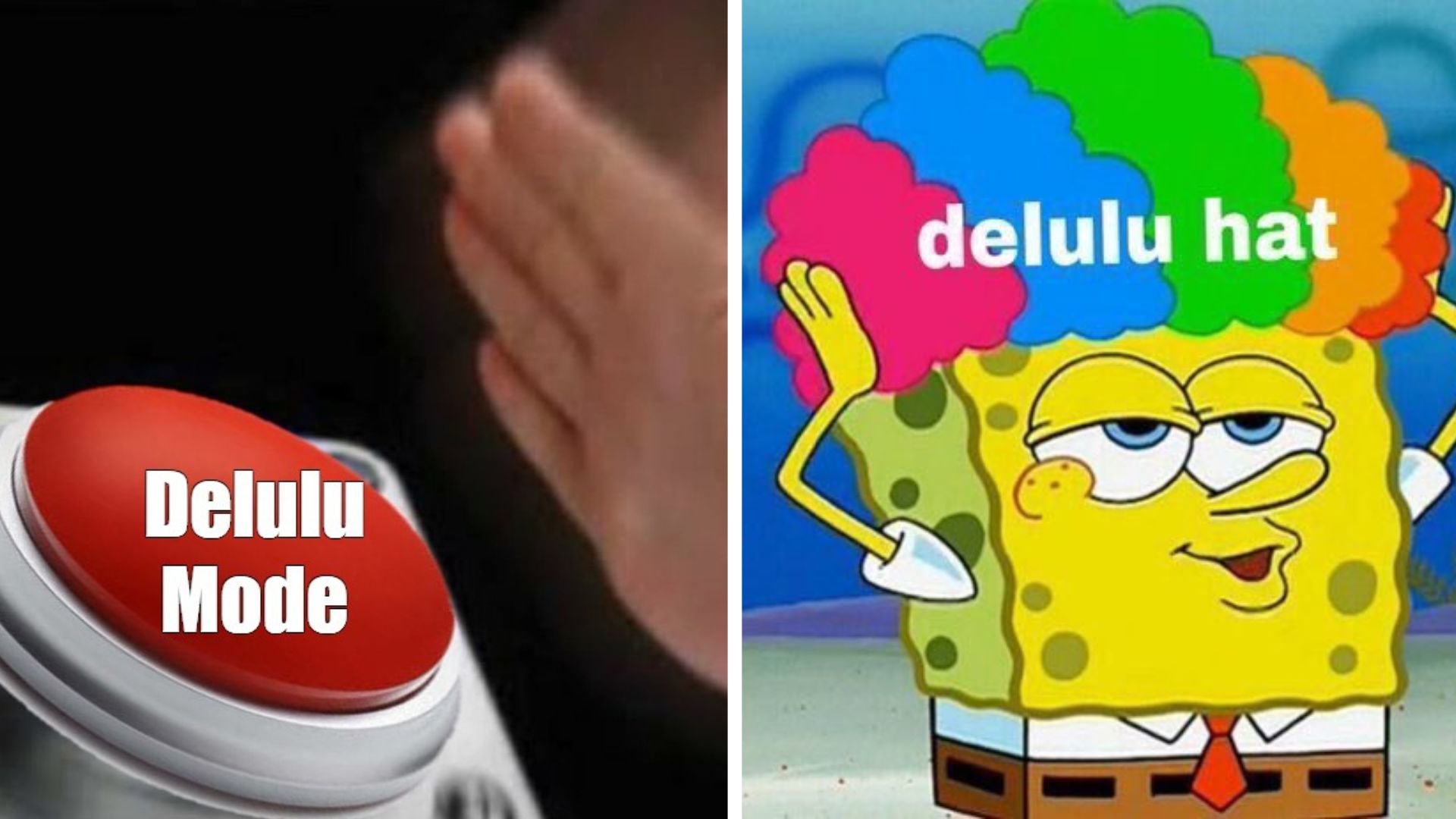 Delulu meme