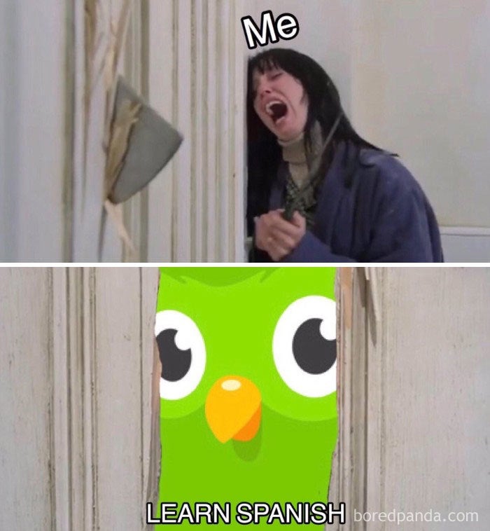 Duolingo Owl meme example