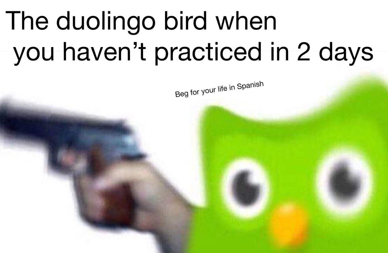 Duolingo Owl meme example