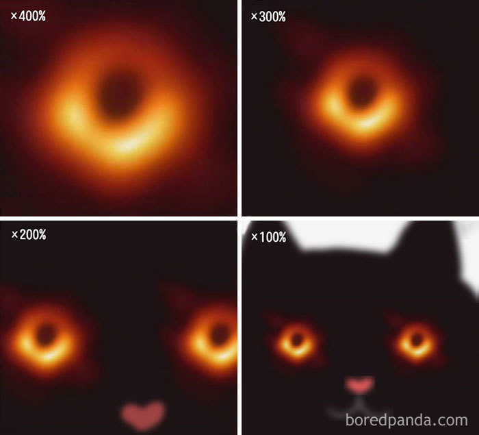 First Image of a Black Hole meme example