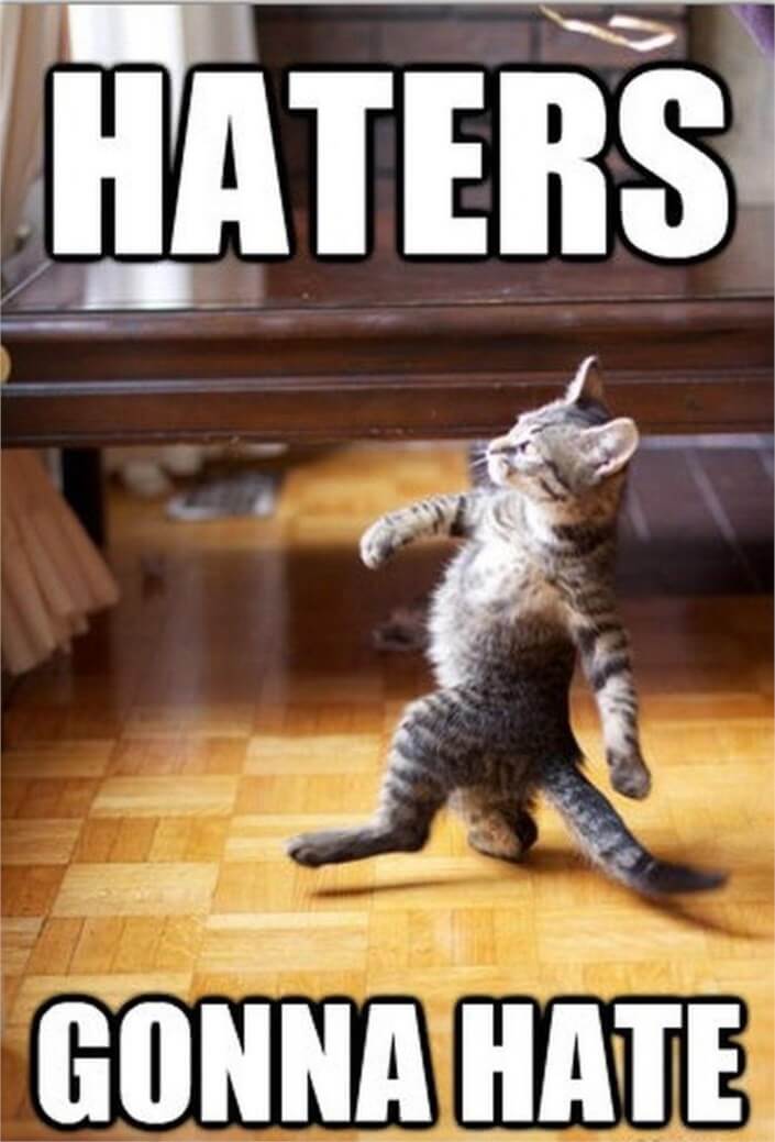 Haters Gonna Hate meme