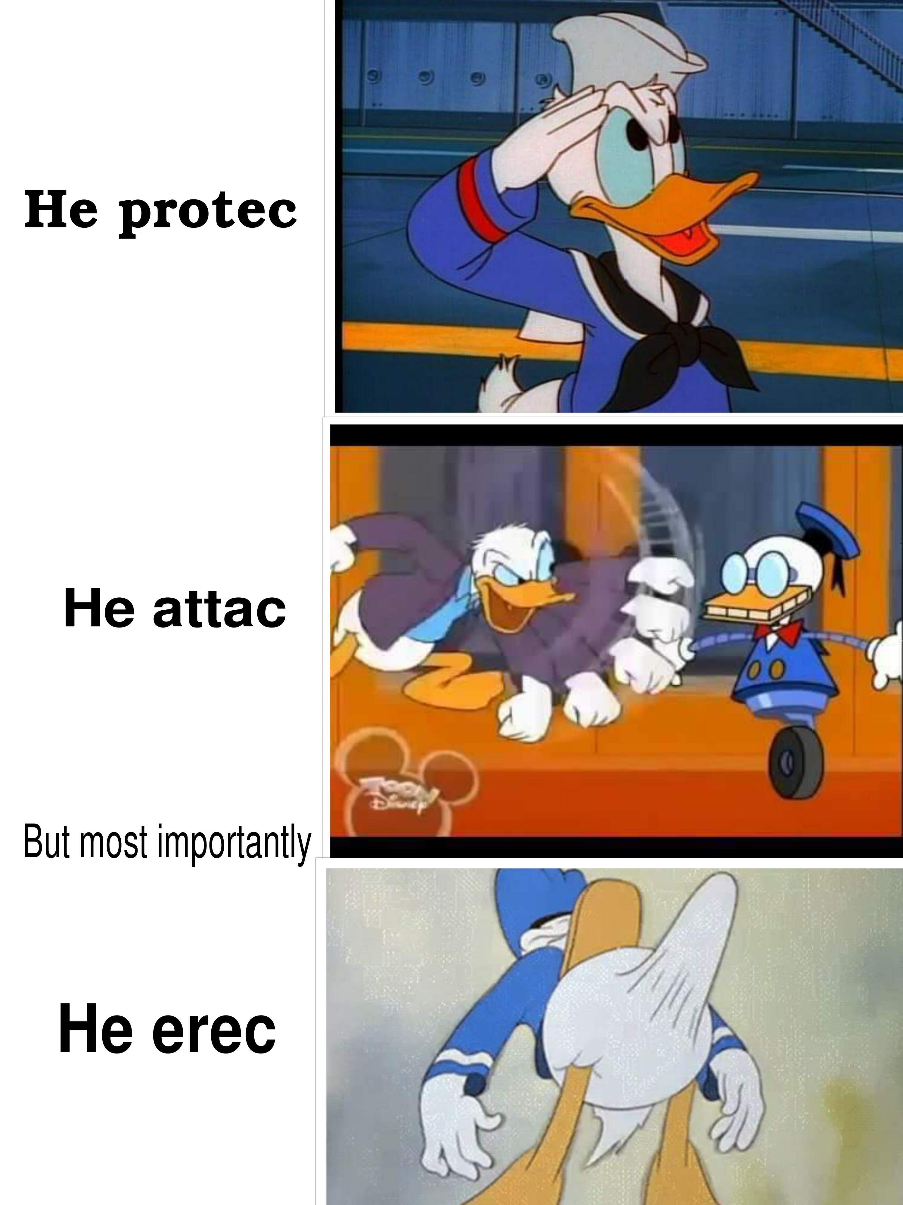 He Protec He Attac meme