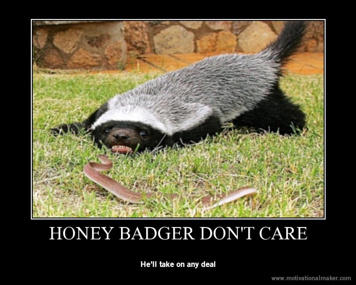 Honey Badger meme example