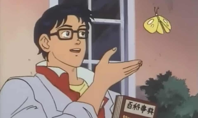 Is this a pigeon anime butterfly meme