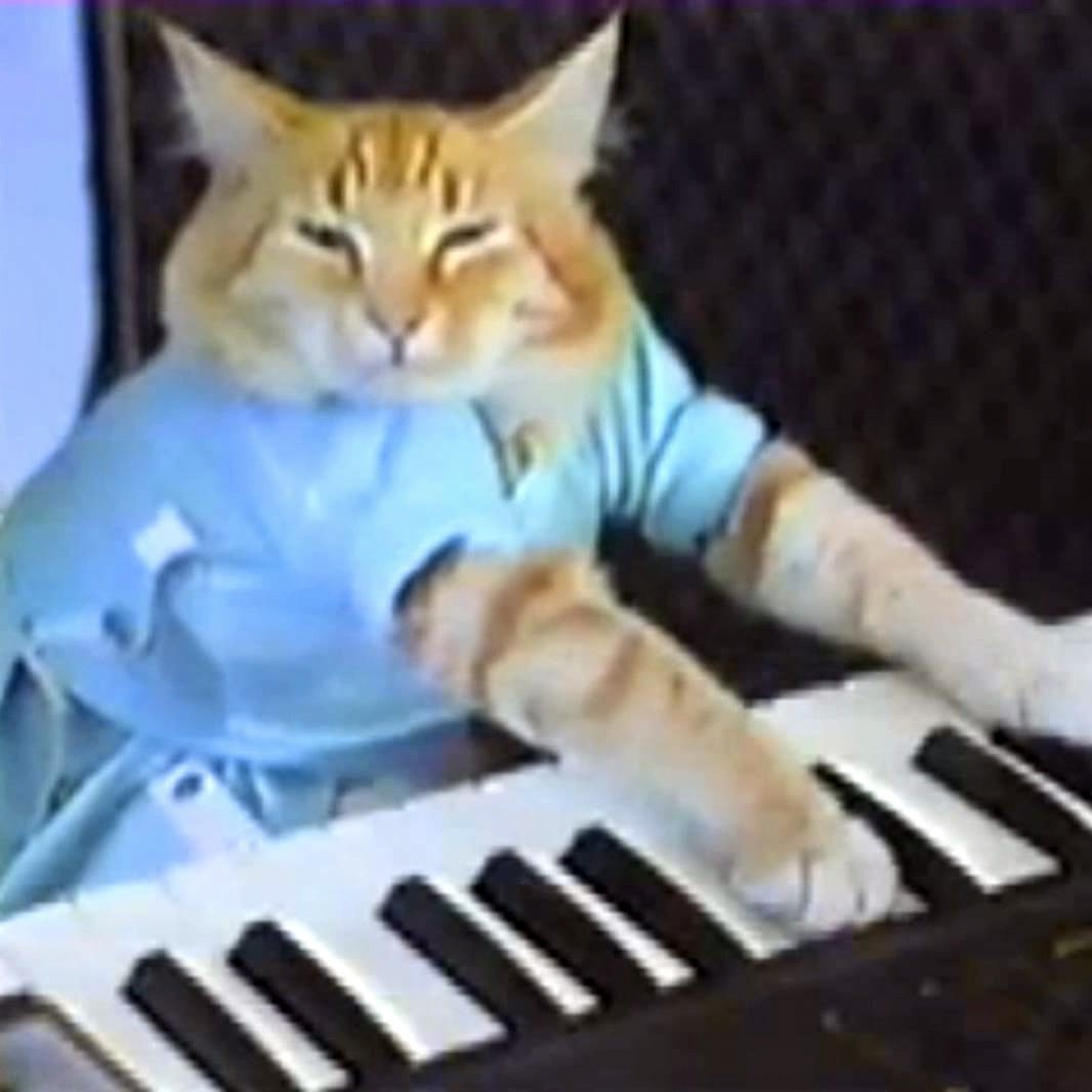 Keyboard Cat meme