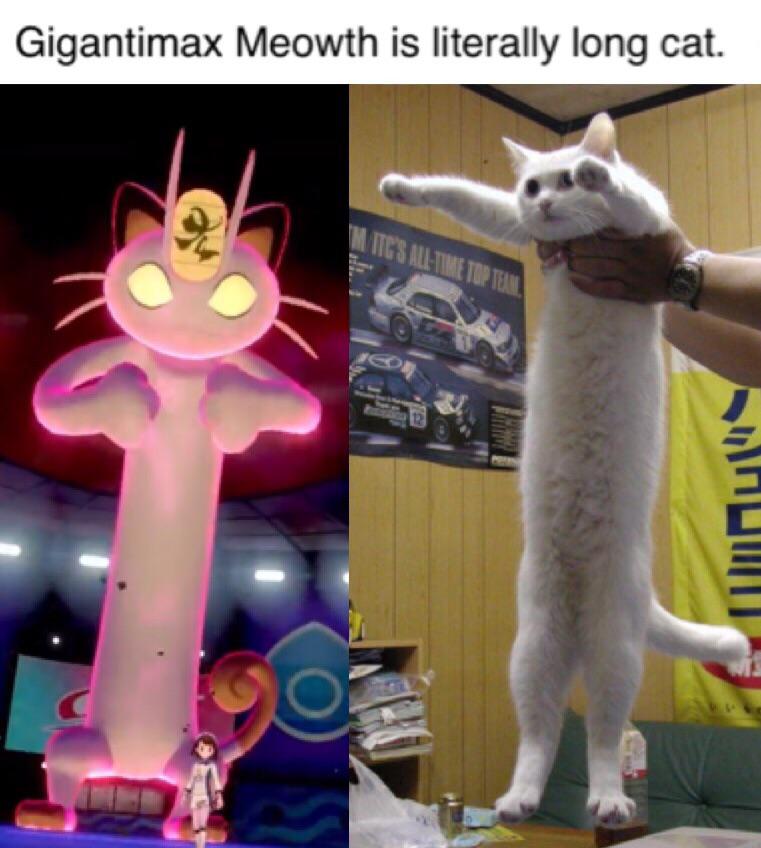 Longcat meme