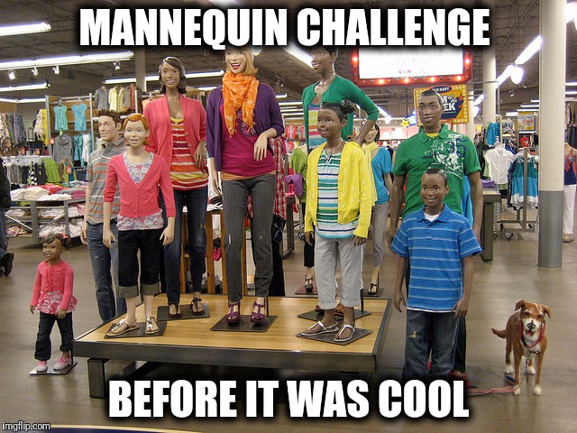 Mannequin Challenge meme