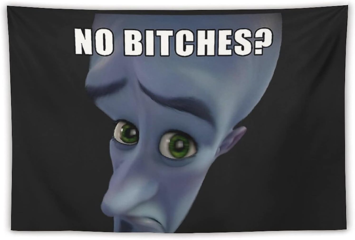 Megamind cropped with a mocking caption